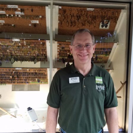 Interview with Steve Chady - Butterfly Pavilion volunteer