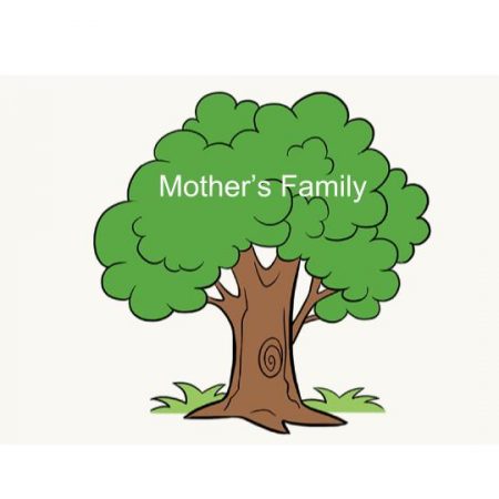 Family Tree: Mother's Side