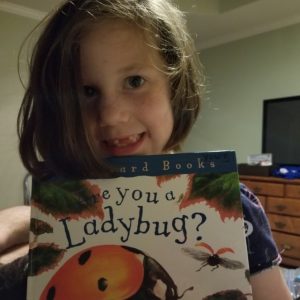 Are you a ladybug