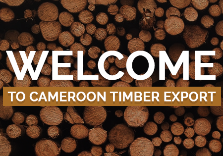 Timber Wood Supplier Vietnam