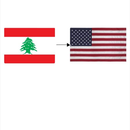 Lebanese man moving to America