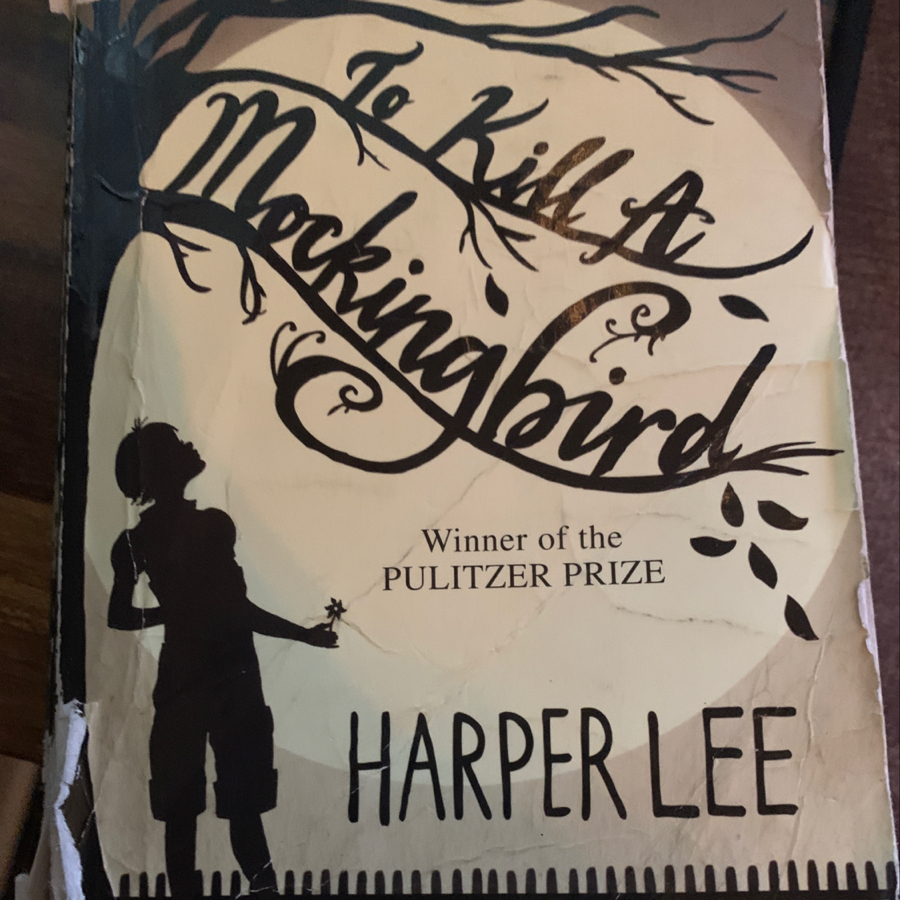 Lit Life: Phillip Borhani and Carter Smith discussing “To Kill a  Mockingbird” by Harper Lee. – StoryCorps Archive